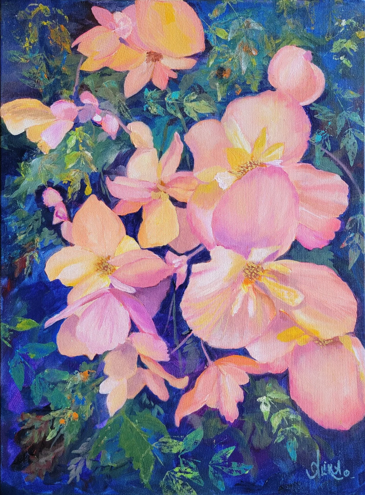 Burst of Begonias
