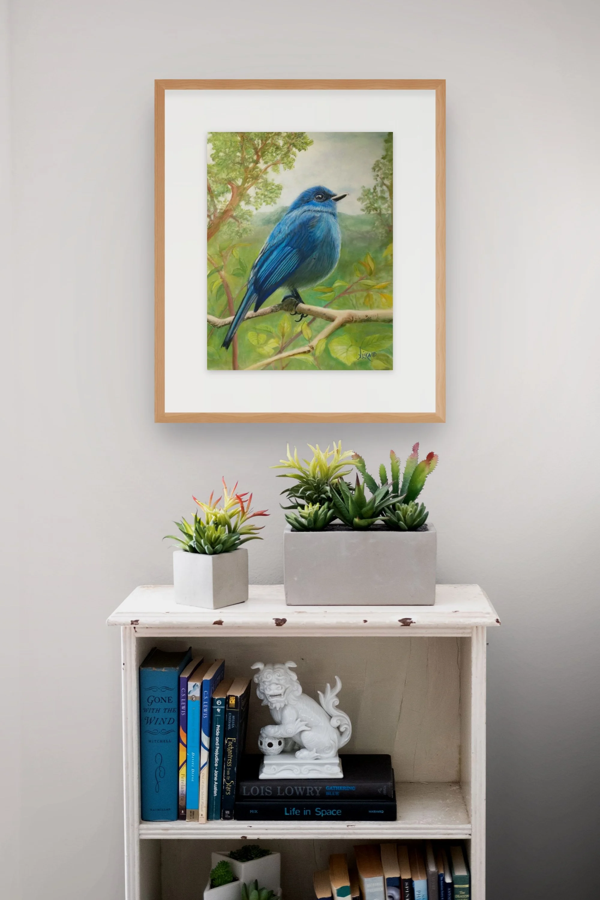nilgiri flycatcher-1-full.jpg