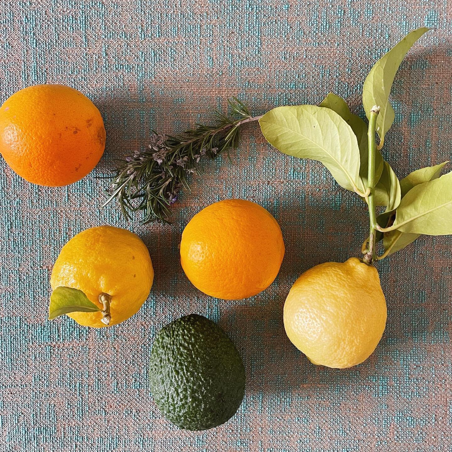 file under: work perks 🍋🍊🥑🌿 foraging in my client&rsquo;s backyard