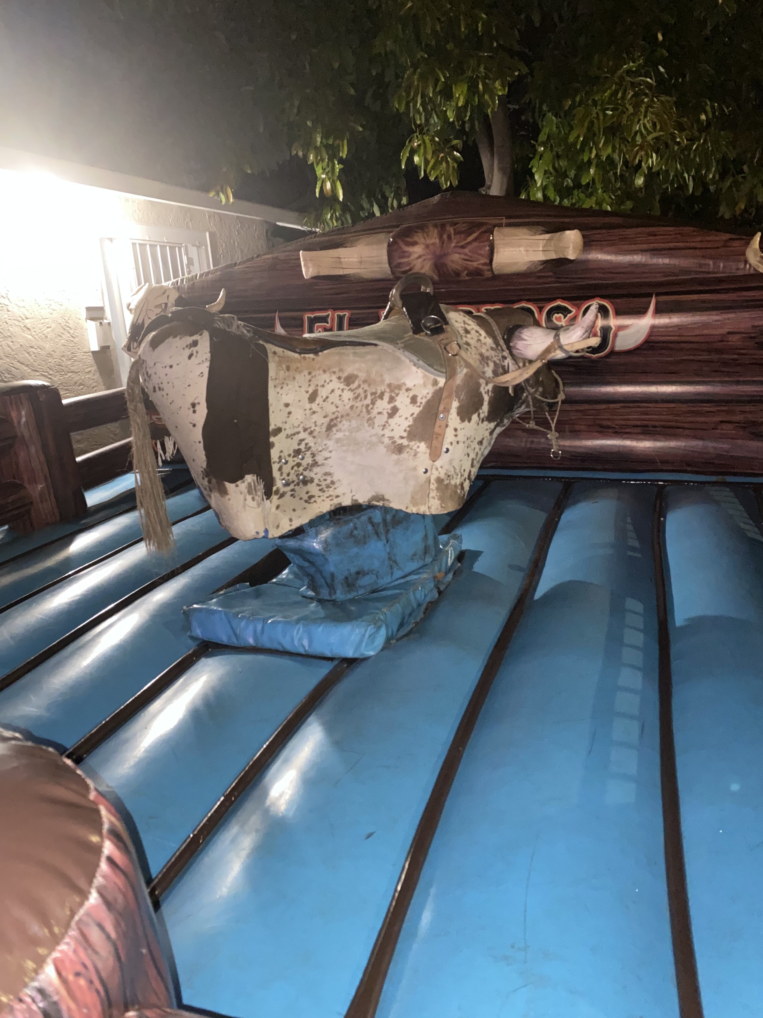 Djs and Bull riding in San Jose.jpg