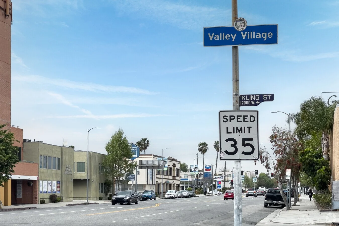 Dj Services in  Valley Village ca.jpg