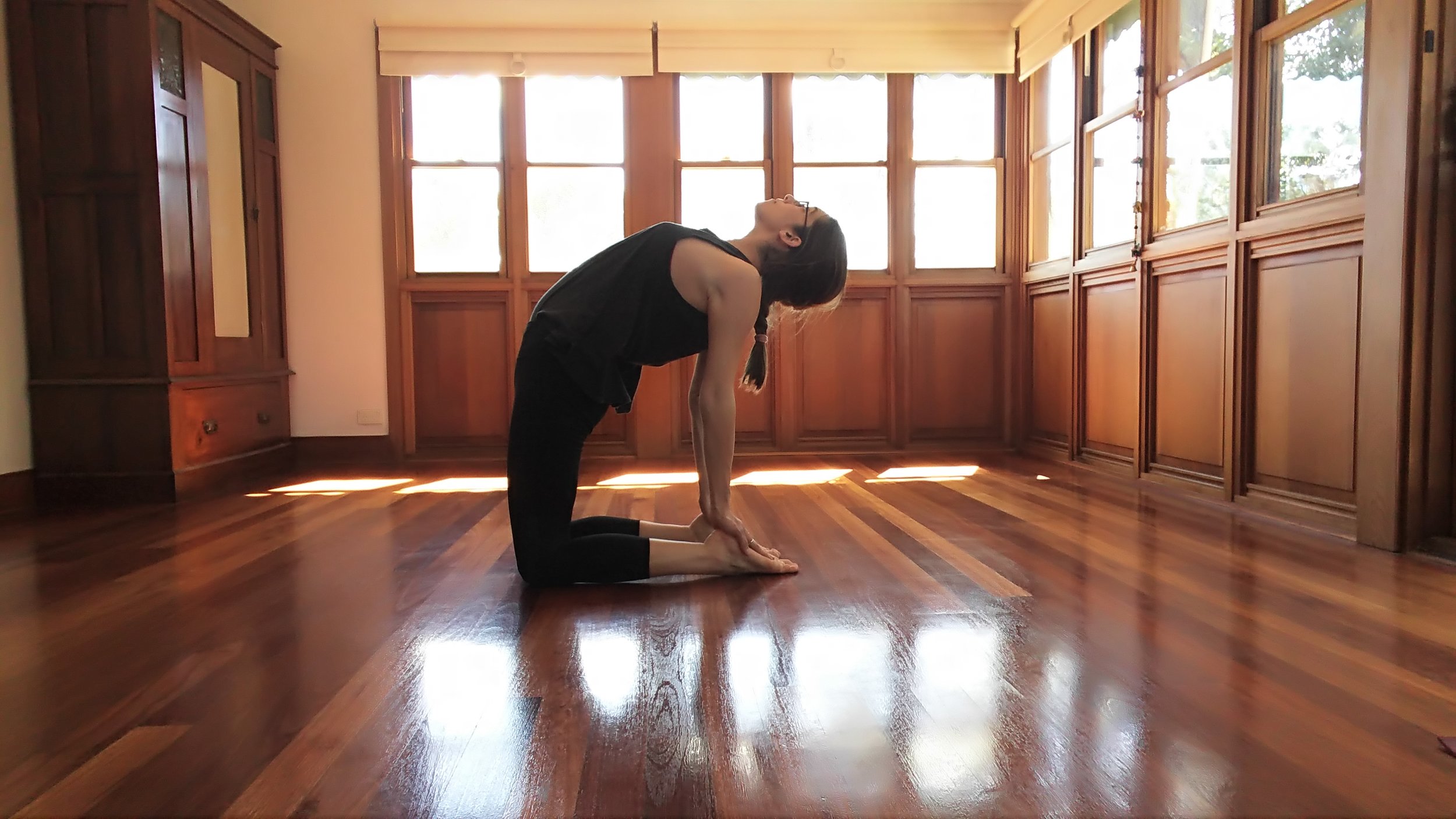  Following from last pose, if it feels safe for your body, continue broadening chest and release the hands towards the feet. If you feel pain in your lower back you have gone too far - remain with the previous pose as your full expression. 