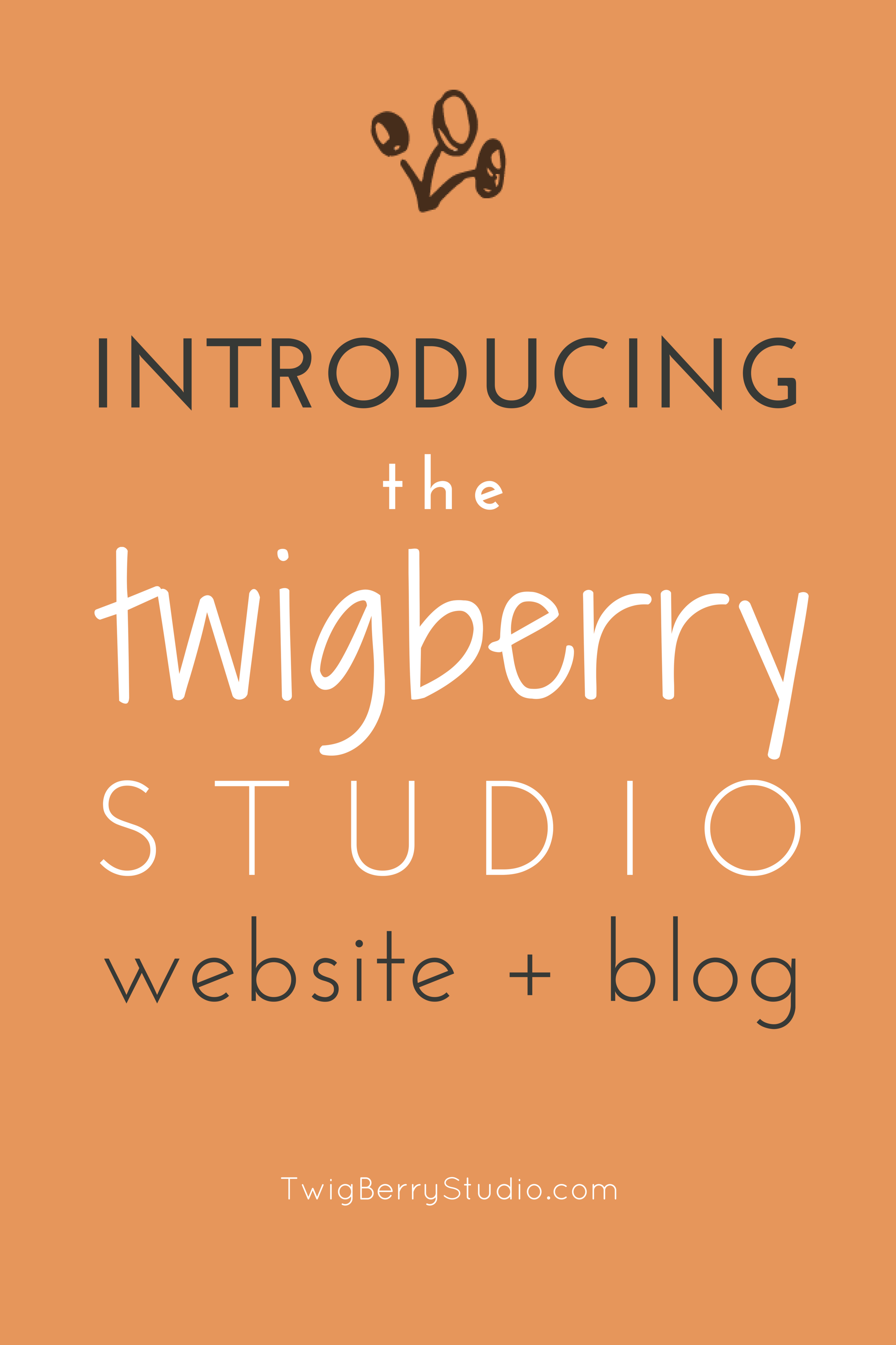Introducing the TwigBerryStudio Website and Blog