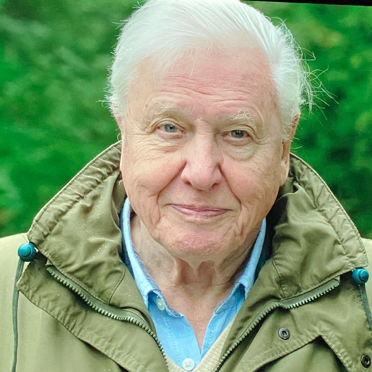 David Attenborough: A Life on our Planet - totally awesome 🌏 watch it 🙏🏽@davidattenborough #love ✨