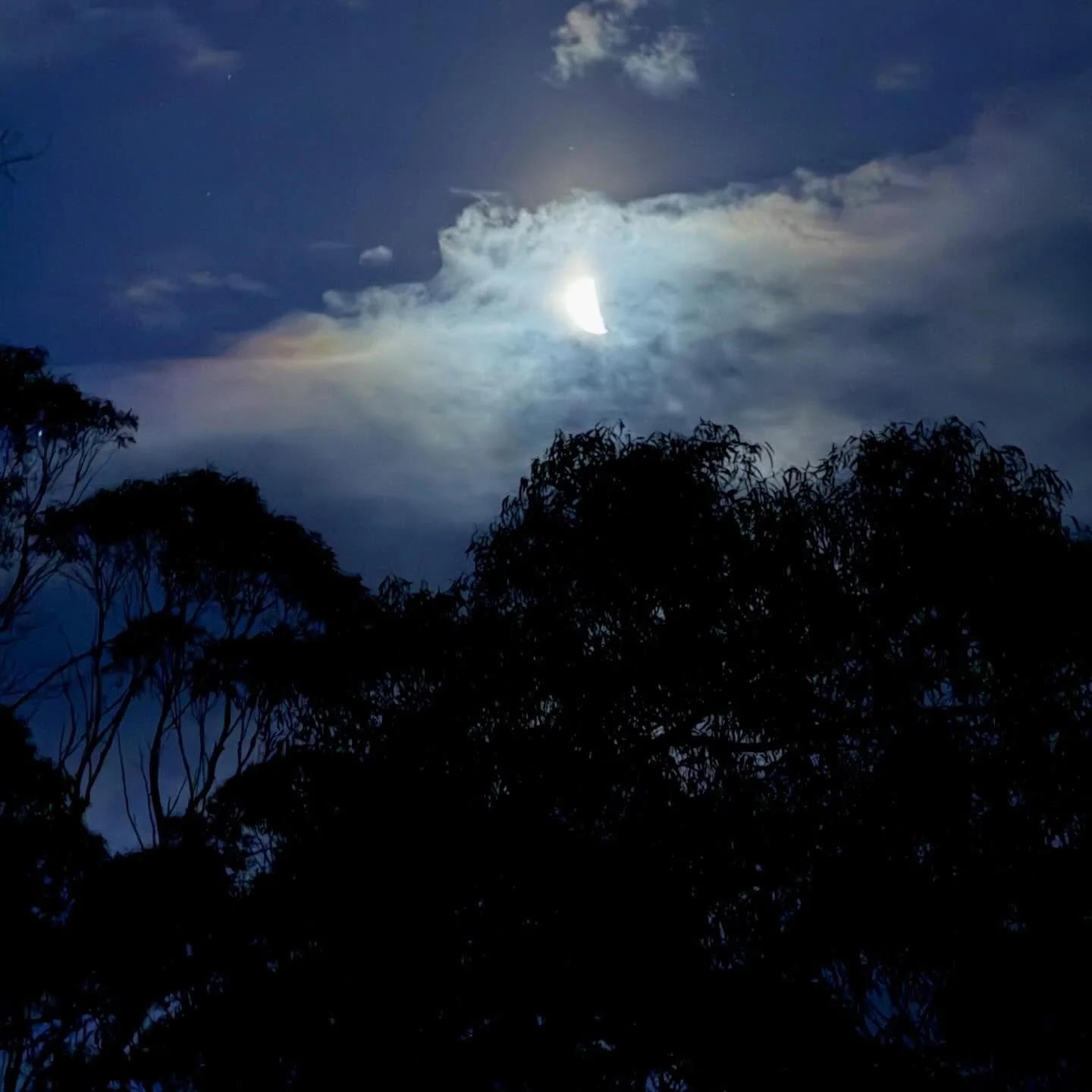 tonight's moon, trupi set up &amp; dinz prep + other friends &amp; waiting under the tree for the rain to pass #love #mamanature #troopy