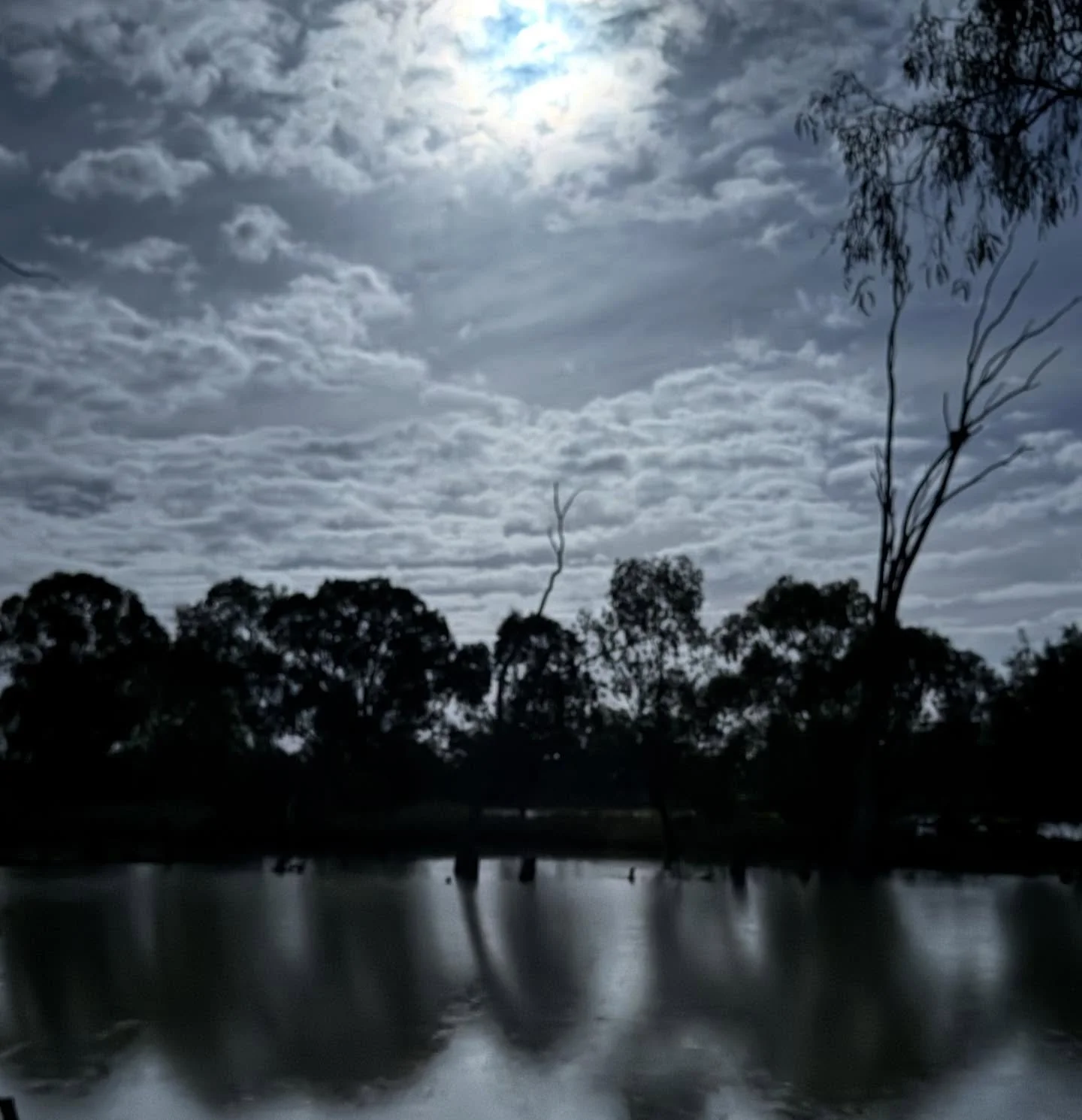 mama nature working her magic, Little desert Murray river Flinders Ranges  #love