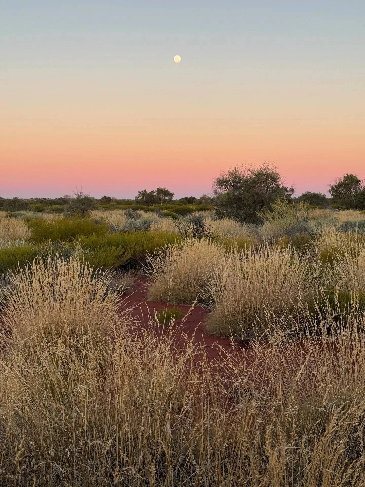 an epic trip from WA through from Karijini Nat Park into Parnngurr community then along a section of the Canning Stock Route CSR to Kunawarritji stopping in Kiwirrkurra country Papunya and Tjoritja to have a little rest here in Alice Springs NT #coun