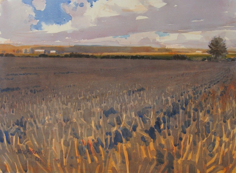 a) Winter Corn.jpg