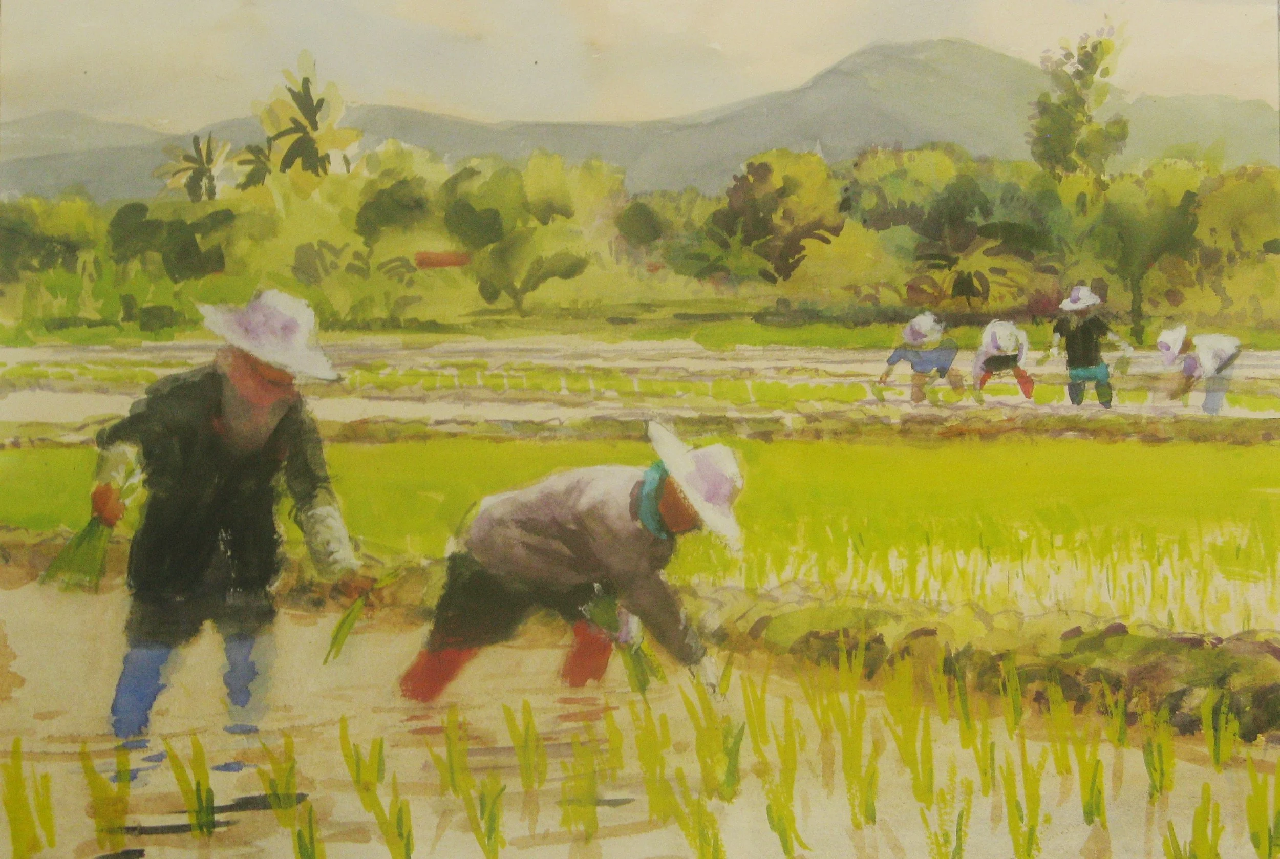 rice planting - Copy.JPG
