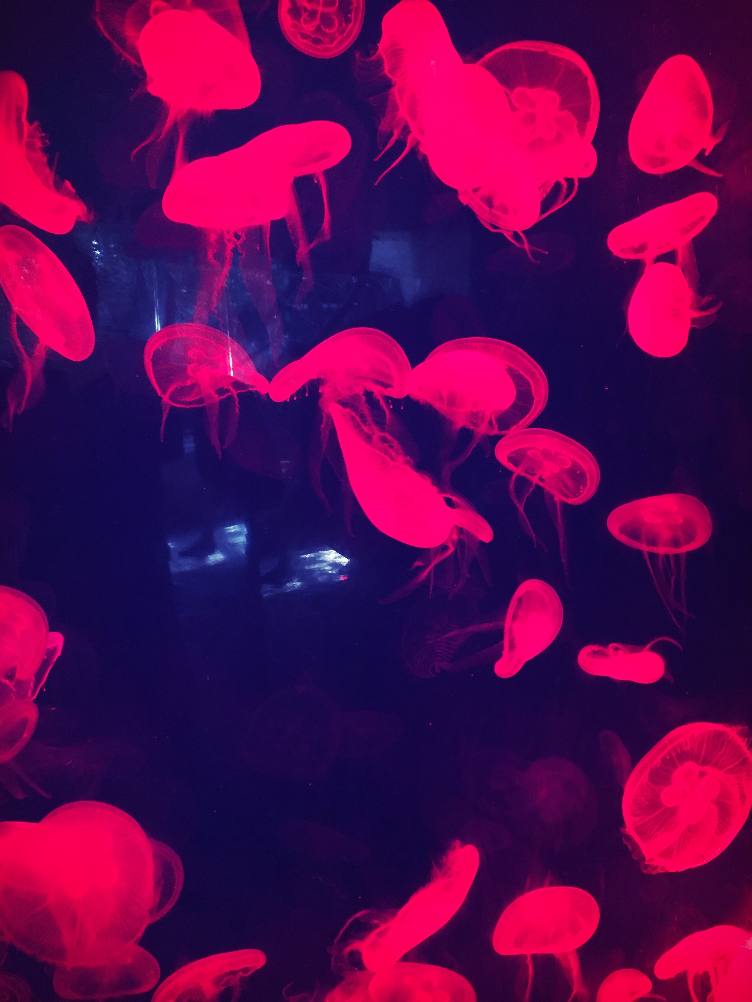2015-12-30 15.16.04-1.jpg