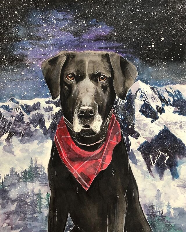Beautiful Carew in the snowy mountains at twilight ✨.
.
.
.
 #wildfriendshop #customwatercolorpetportraits #blacklabradorportraits