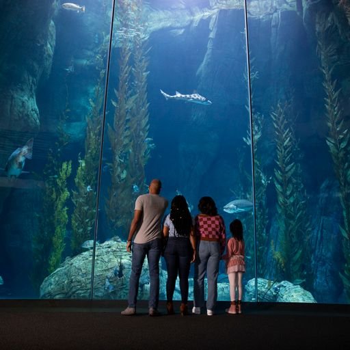 Aquarium of the Pacific®