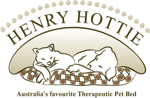 henry_hottie_logo_1433390323__26430.png