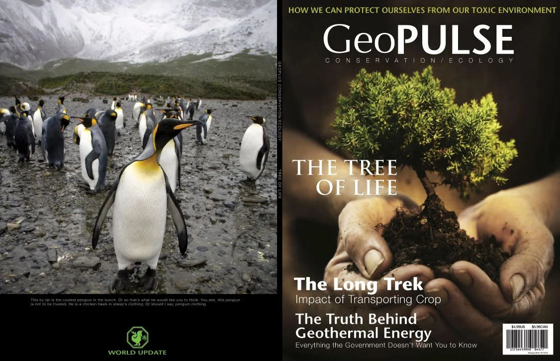magazine geopulse.jpeg