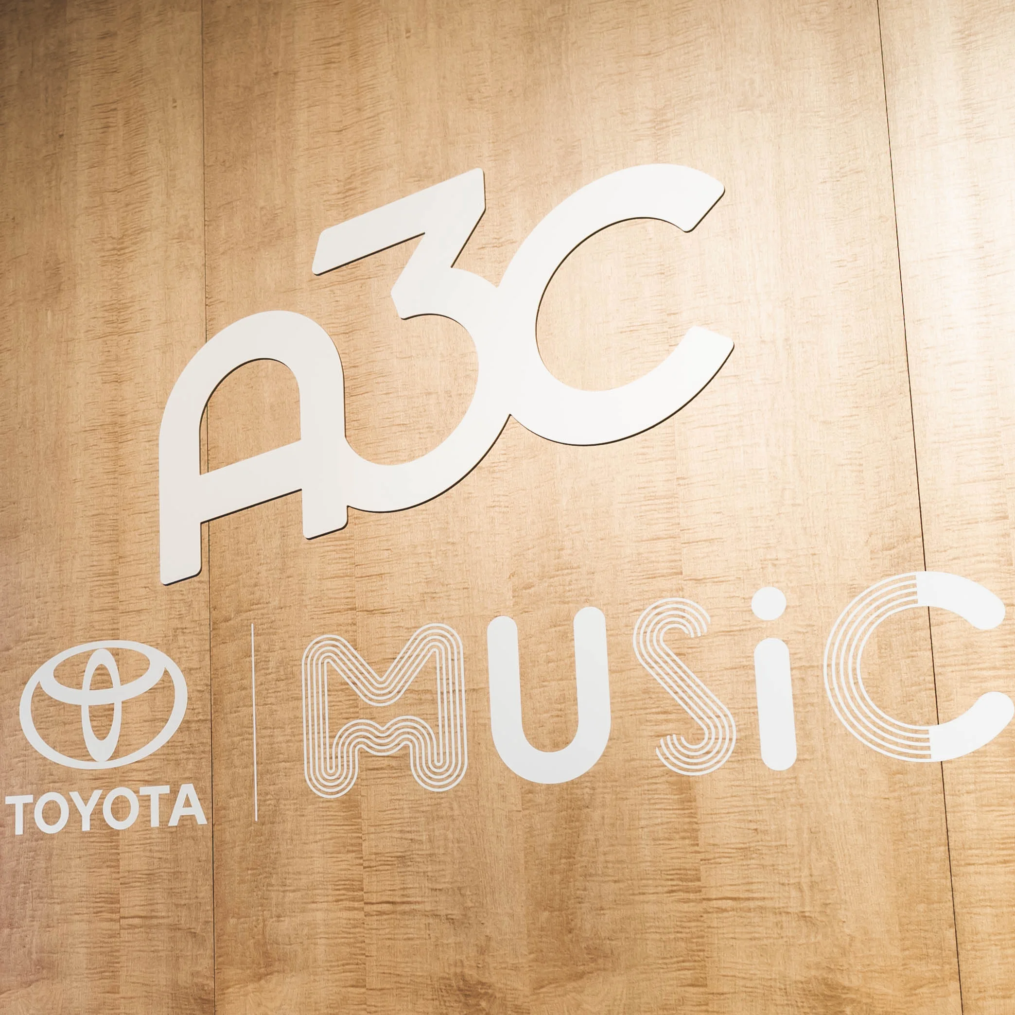 a3c Festival 2018
