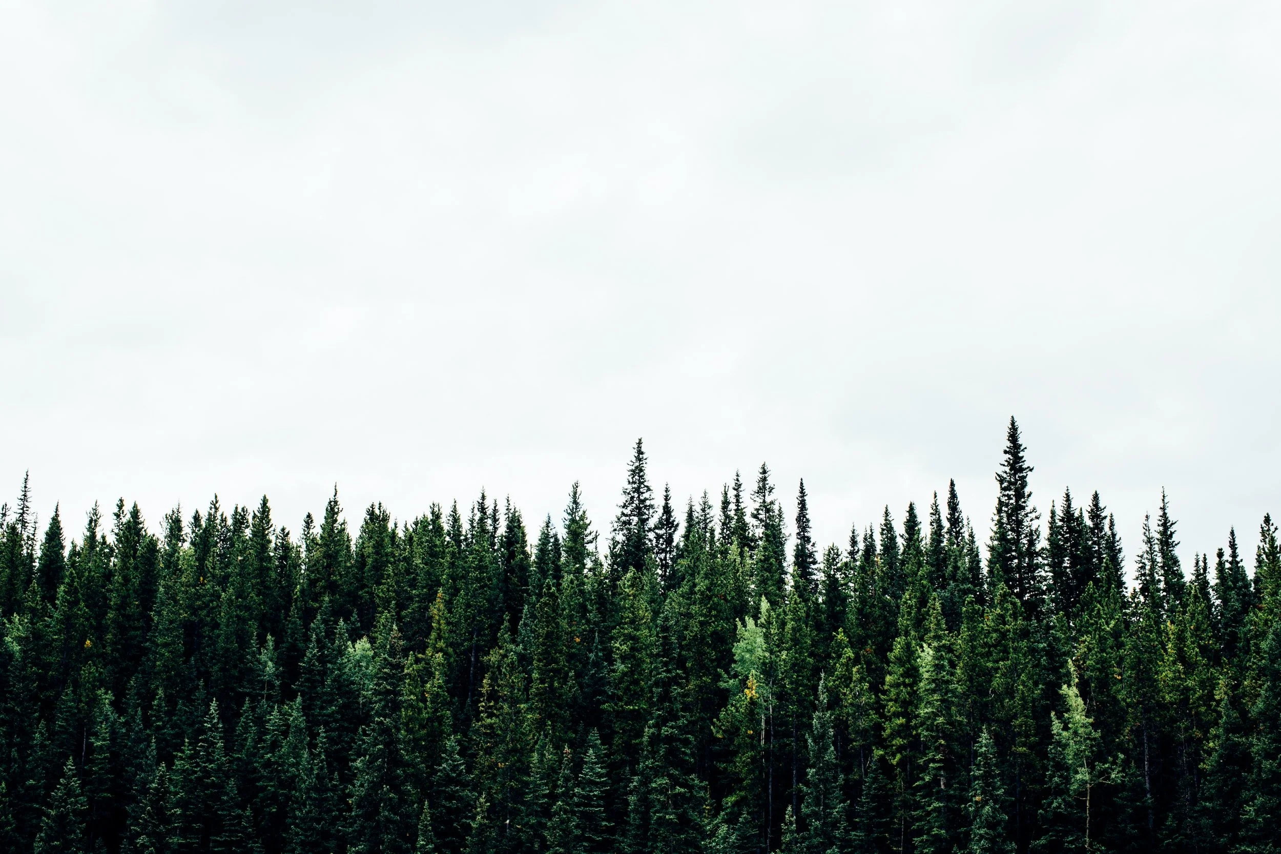 unsplash-image--IZ2sgQKIhM.jpg