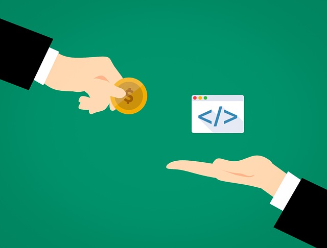 software-developer-3182374_640.jpg