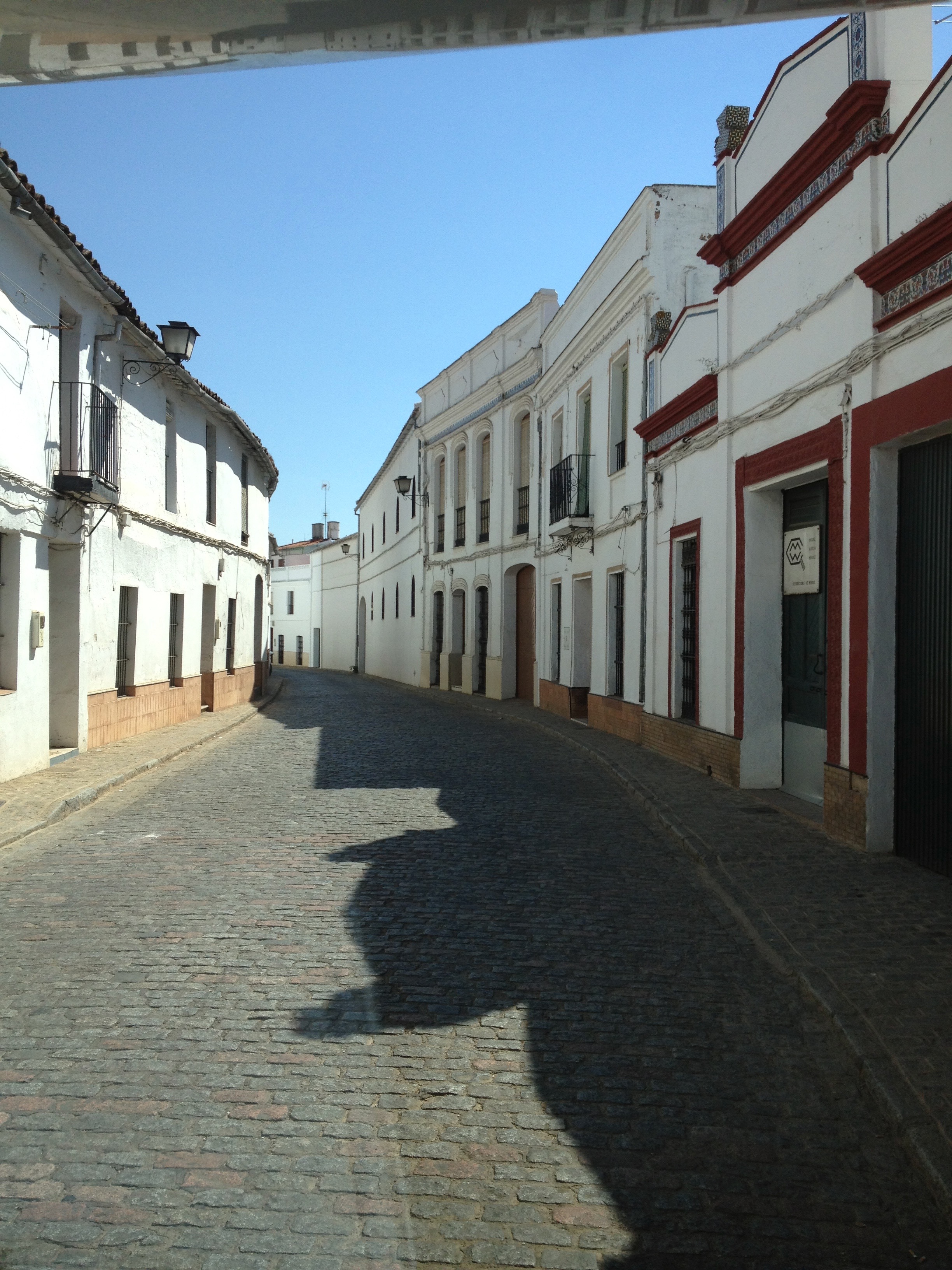 245_IMG_1733.jpg