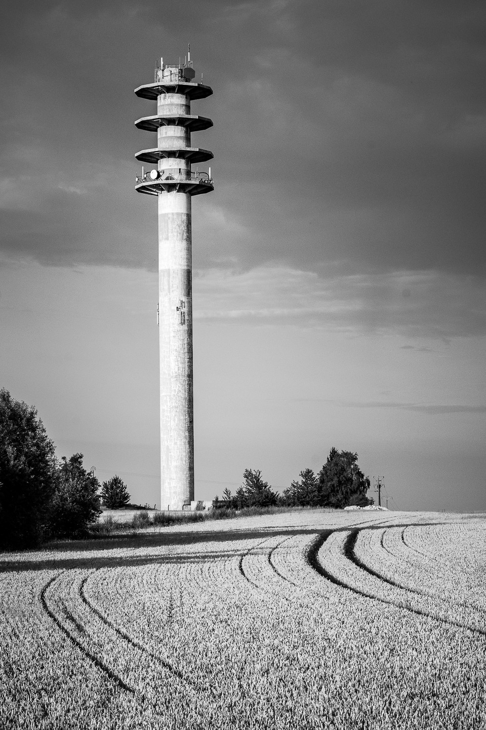 _D727063 - Kopie.jpg