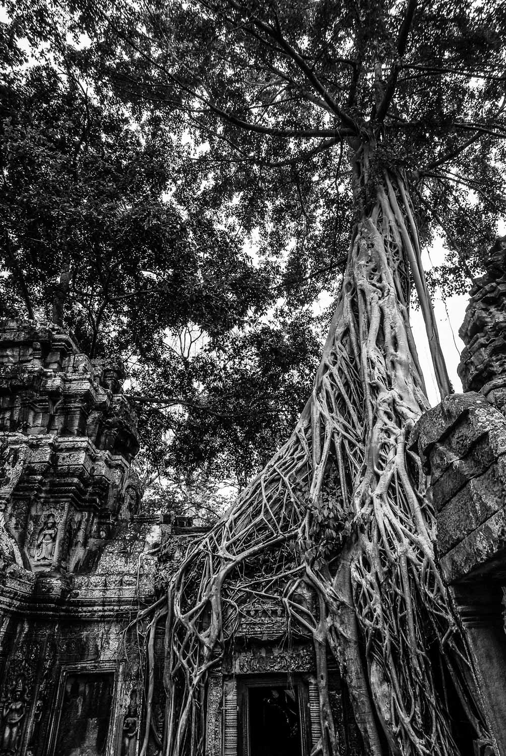 siem_reap_angkor_2009_1500-15.jpg