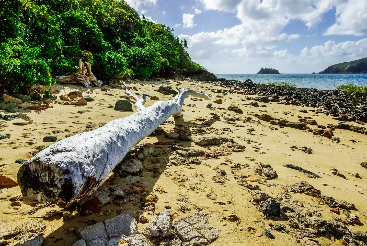 whitsundays_2009_1500-4.jpg