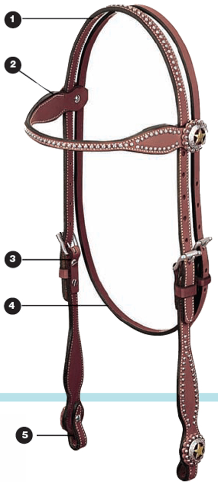 bits-and-bridles1.jpg