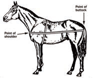 weigh-before-worming- diagram of a horse - showing how to calculate the horse's weight 