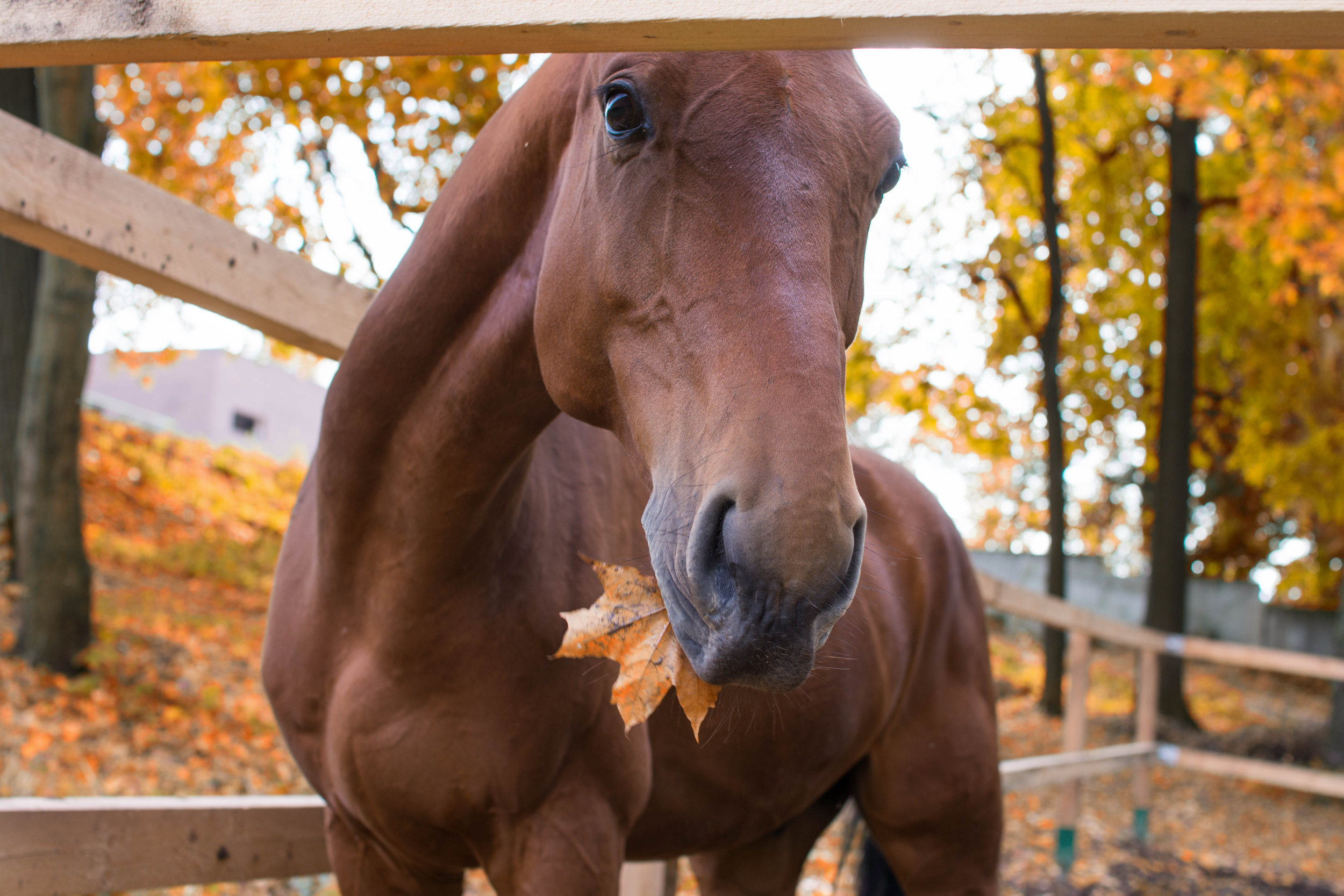 AdobeStock_225802751.jpeg