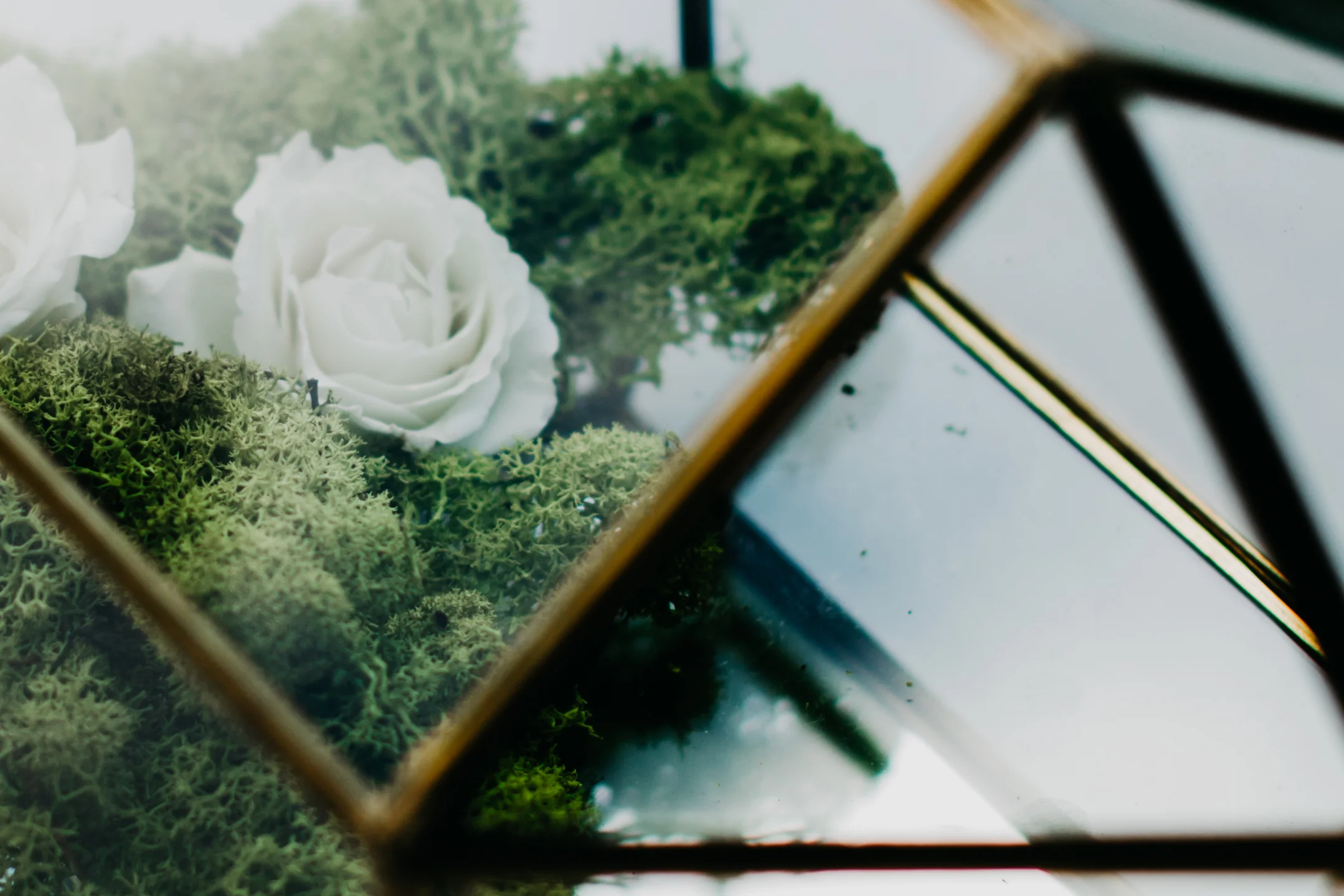 J+C_ceremony-4.jpg