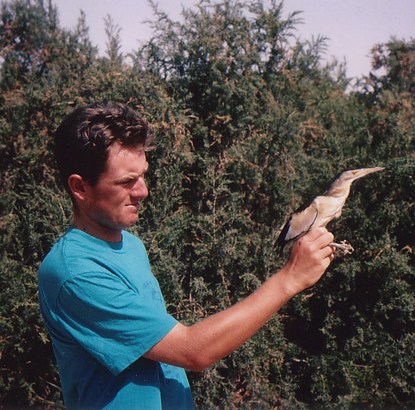 A little bit o'ringing in eilat aged 21