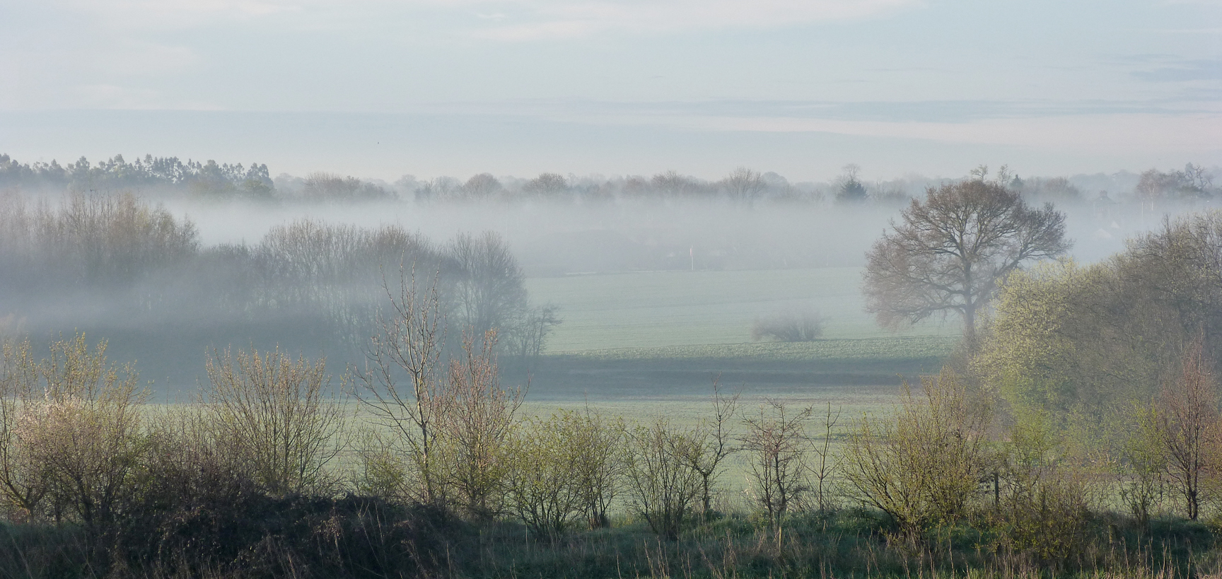 A misty early morning in Essex, as viewed from my room window