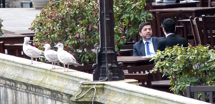 Secretary of State for Work and Pensions, Stephen Crabb, discussing the ageing of Herring Gulls, on the balcony of the Houses of Parliament.