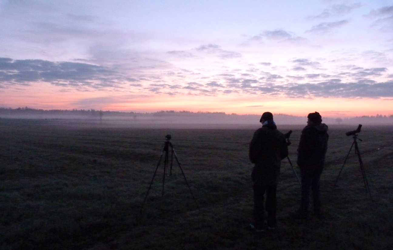 The BUBO lads overlooking Bialowieza Forest at dawn.