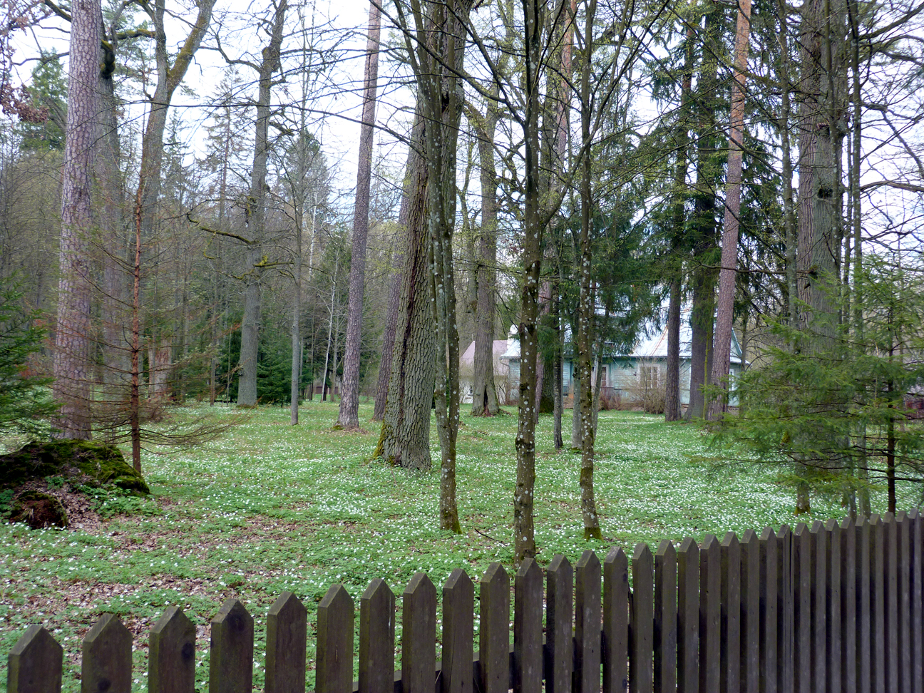 The large fenced-off garden by the roadside.
