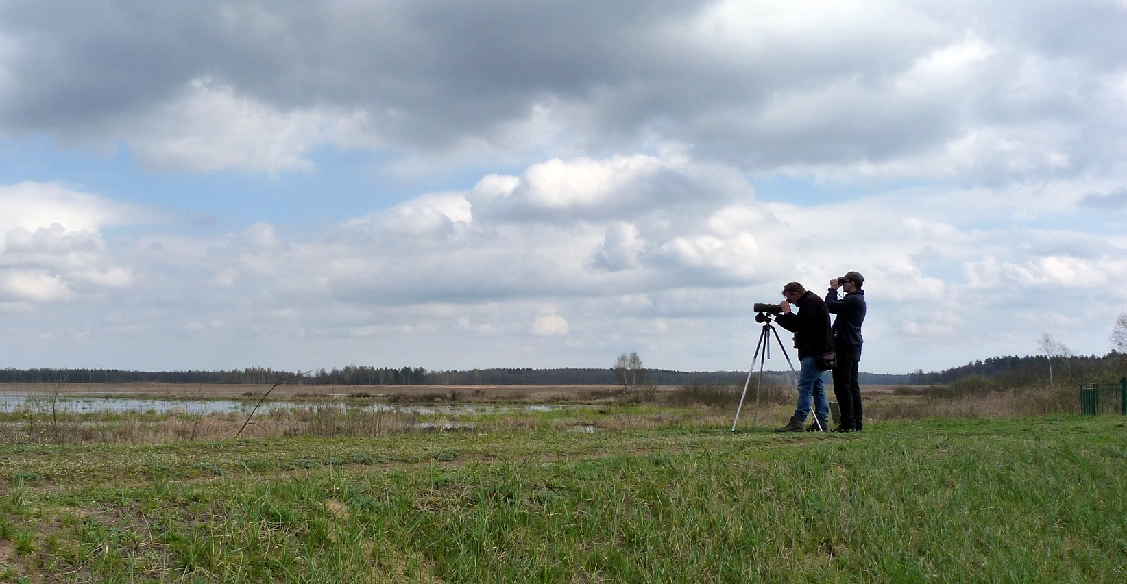 BUBO leave the forests and find masses of waterbirds.