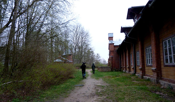 Birding in the gloom in Bialowieza Town Park.