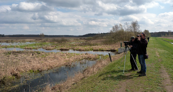 Birding the southern bank of Siemianowka Reservoir.