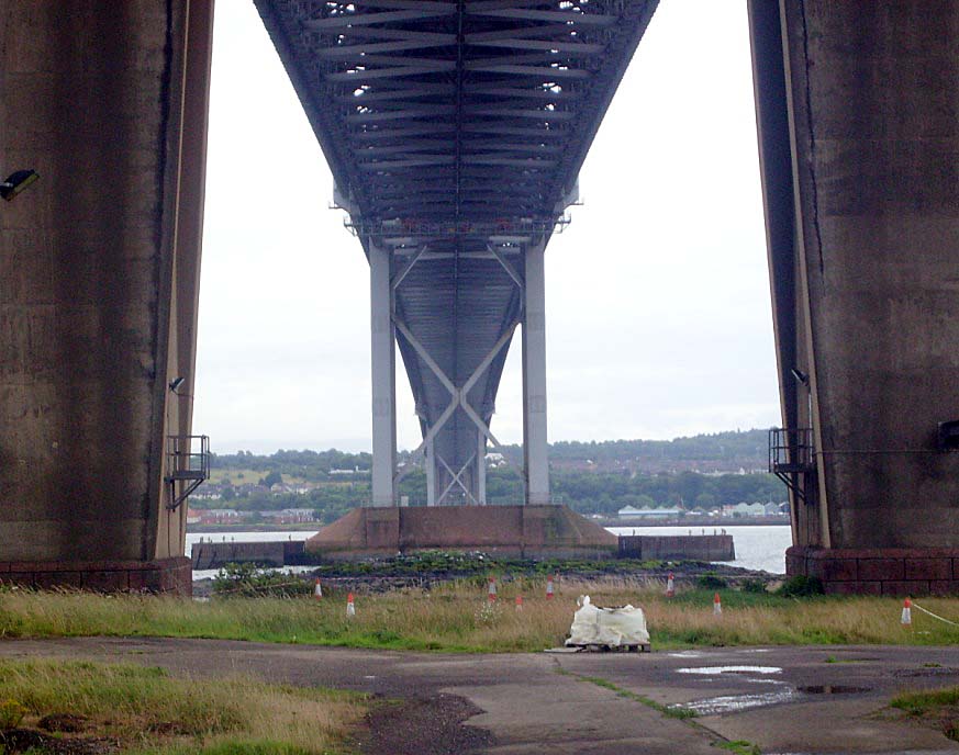 THE NOT-SO-PEACEFUL TERN COLONY UNDER THE FORTH ROAD BRIDGE