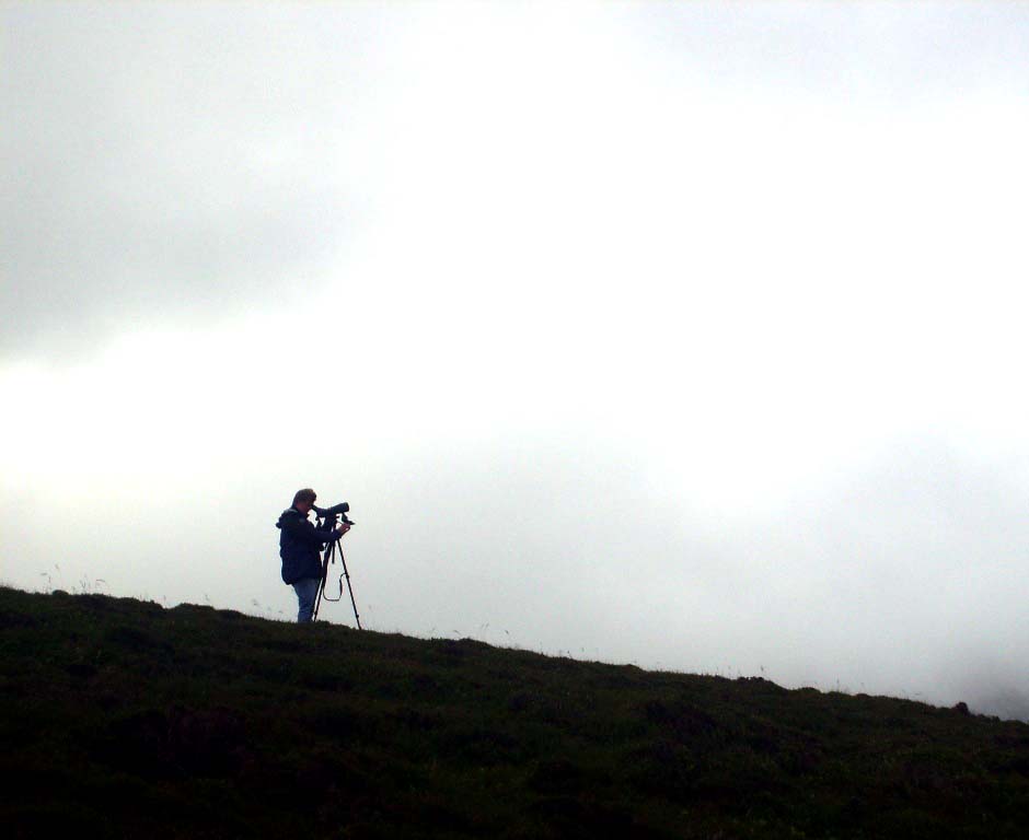MUZZA LOOKING FOR PTARMIGAN