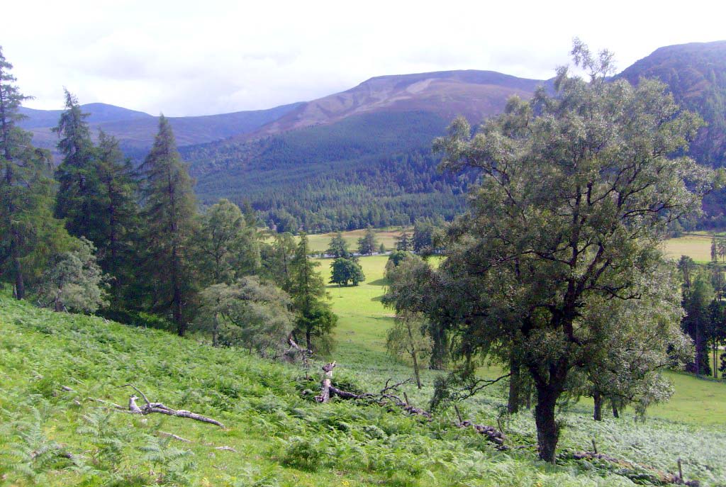 KEILOCH, DEESIDE