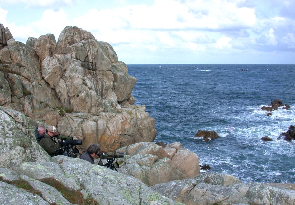 seawatchers looking out from jaonneuse