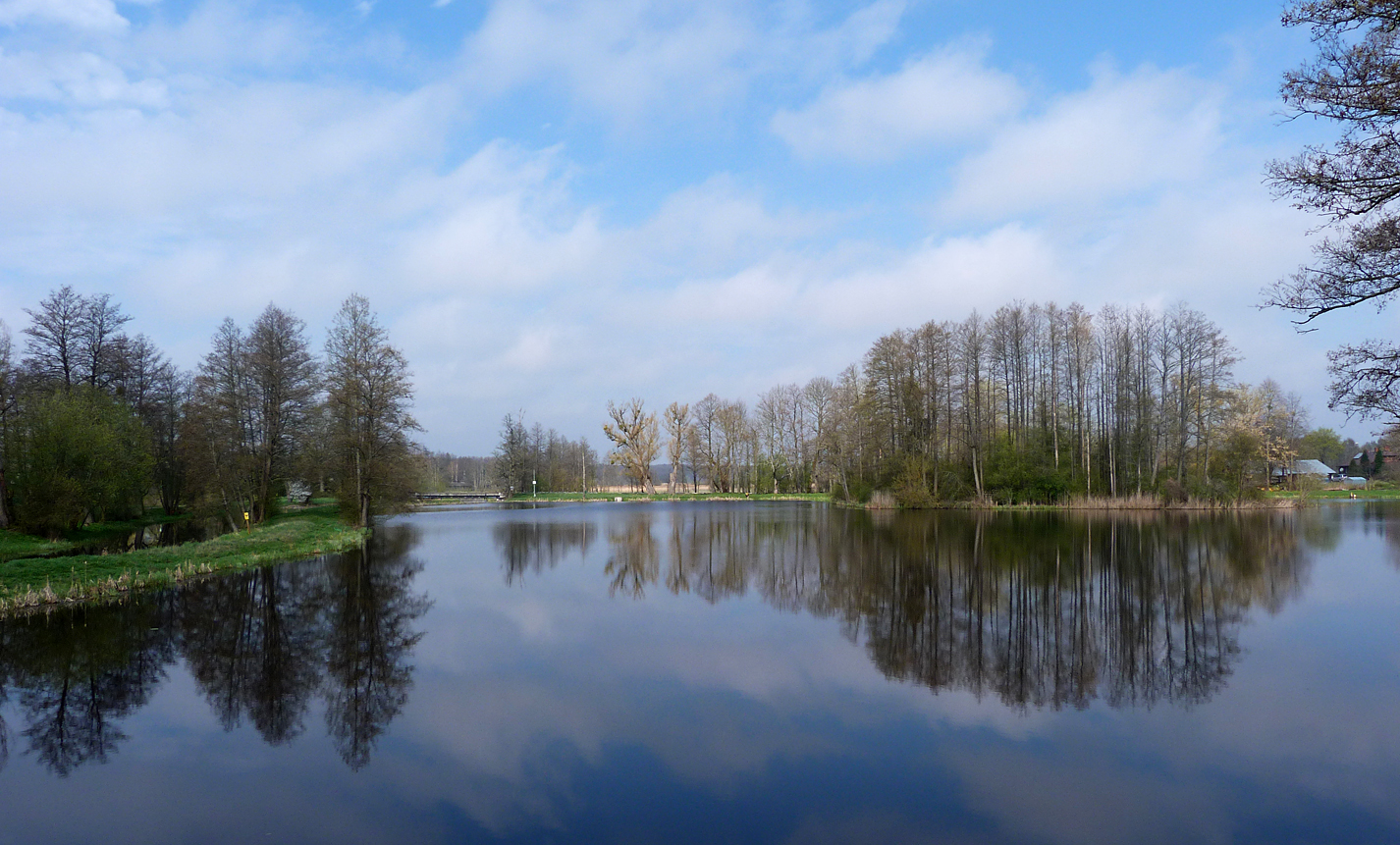 In contrast to our gloomy first visit to Bialowieza Town Park, our second visit was bathed in bright sunshine.