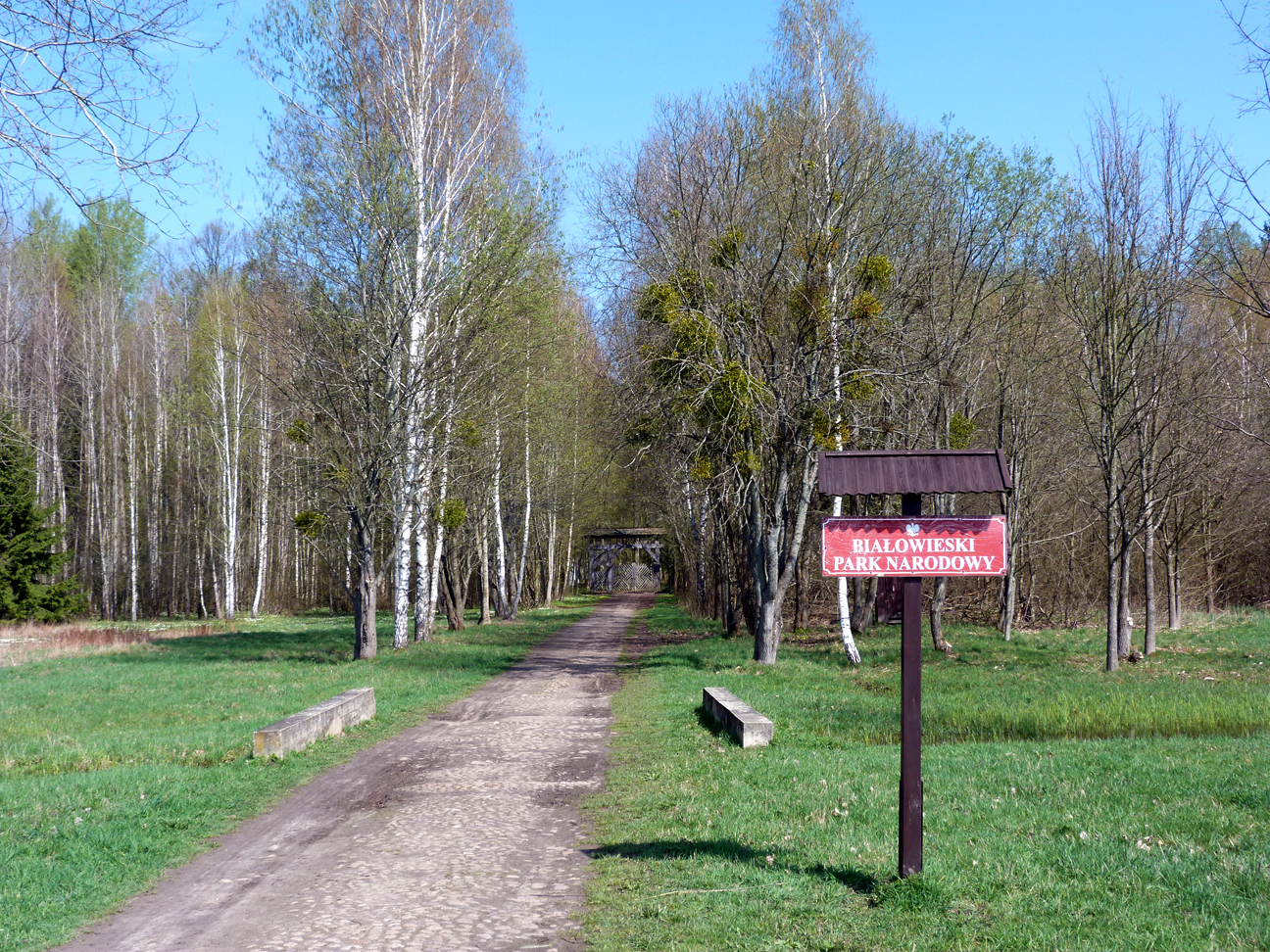 Entrance to the ancient reserve.