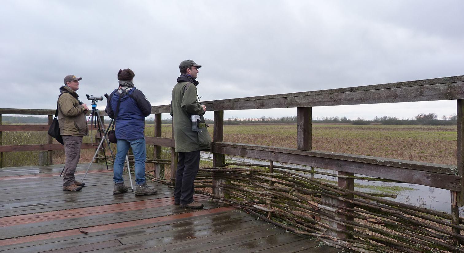 BUBO lads on the Great Snipe viewing platform