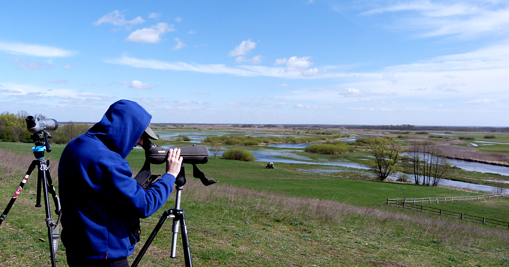 BUBO hit the impressive Biebrza Marshes