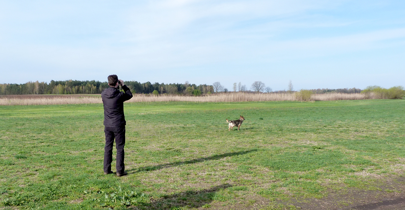 A pre-breakfast stroll out into the fields behind the guest house, with canine accompaniment. 