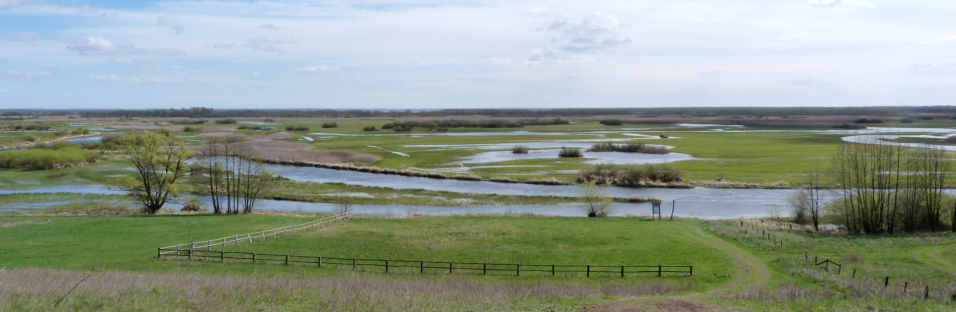 Burzyn, our first stop at Biebrza Marshes
