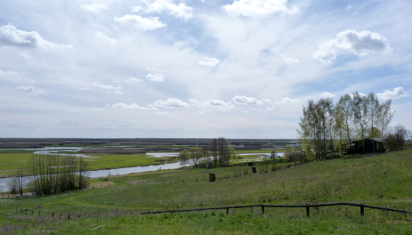 Wetlands as far as the eye could see