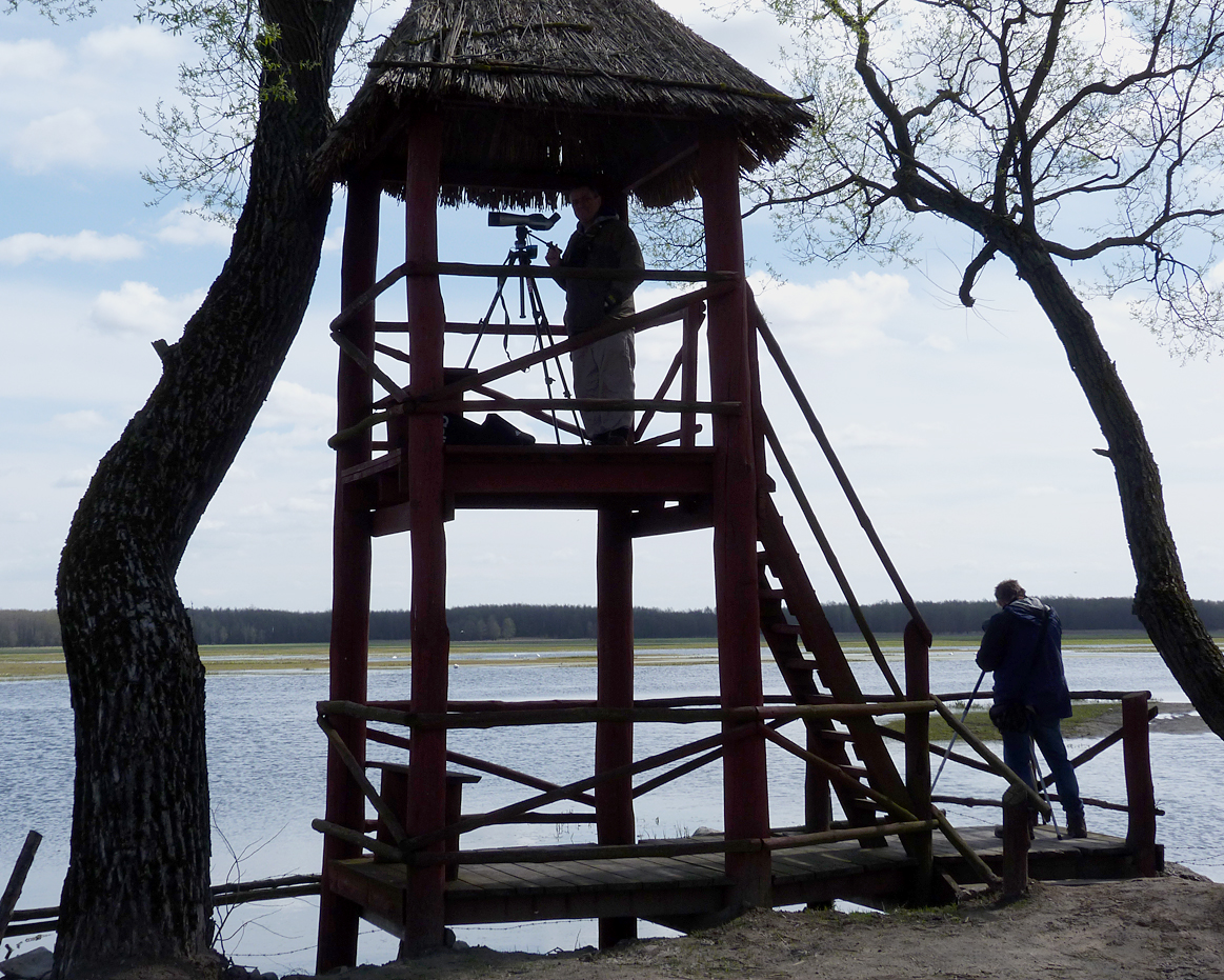 Me up the observation tower at Brzostowo