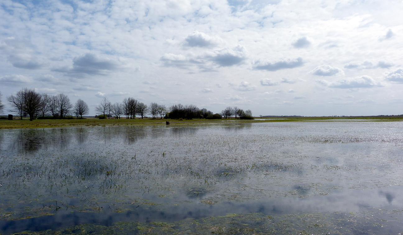 Mscichy - there was extensive waterlogged marsh in all directions